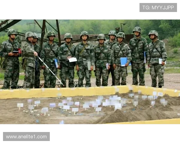 武汉乒乓球队阵地战打法深度解析与战术应用探讨 武汉乒乓球队阵地战打法深度解析与战术应用探讨