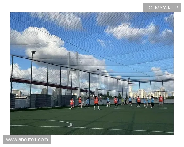 武汉飞盘队进攻战术解析与实战表现全景分析