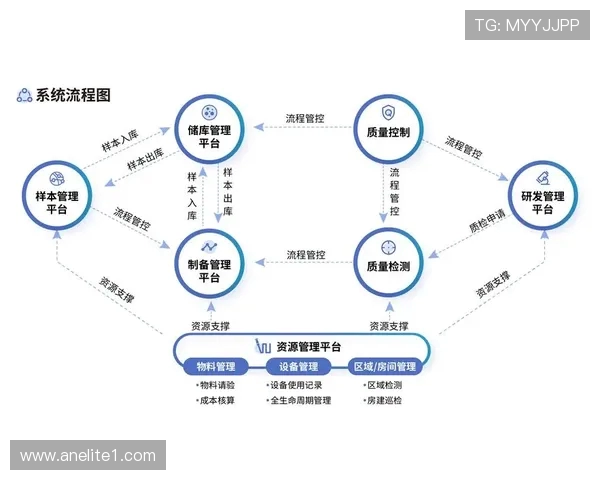深圳网球队的节奏革新之路:从传统到现代的全面转型与突破 深圳网球队的节奏革新之路:从传统到现代的全面转型与突破