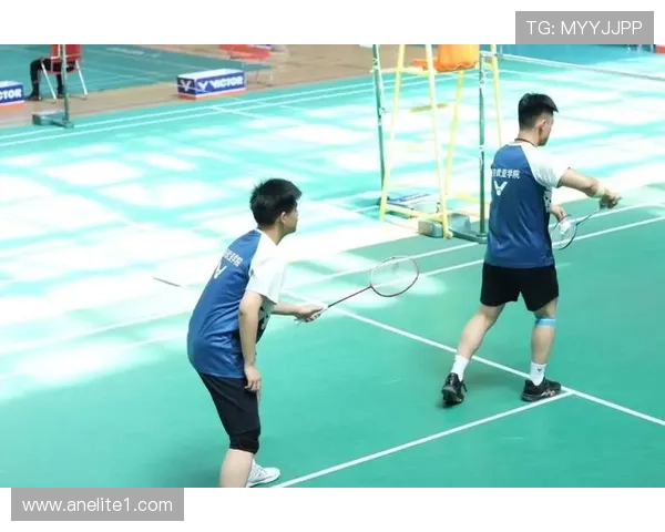 羽毛球盛宴：深入了解西安羽毛球队的默契配合与战术策略