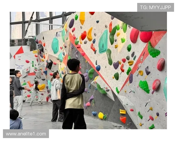 西安攀岩队在全国攀岩节奏排行榜中荣获第九名的佳绩 西安攀岩队在全国攀岩节奏排行榜中荣获第九名的佳绩