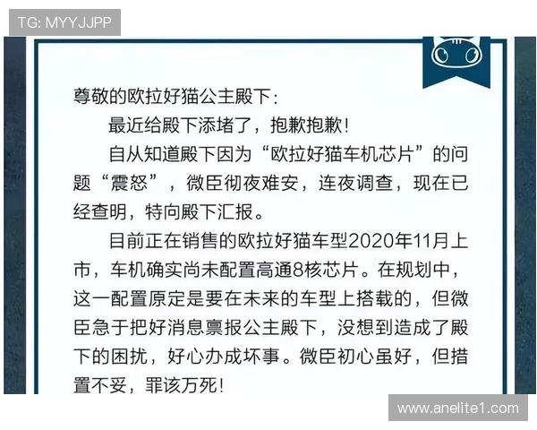 重庆排球队与南京排球队赛后复盘深度剖析双方配合与战术执行