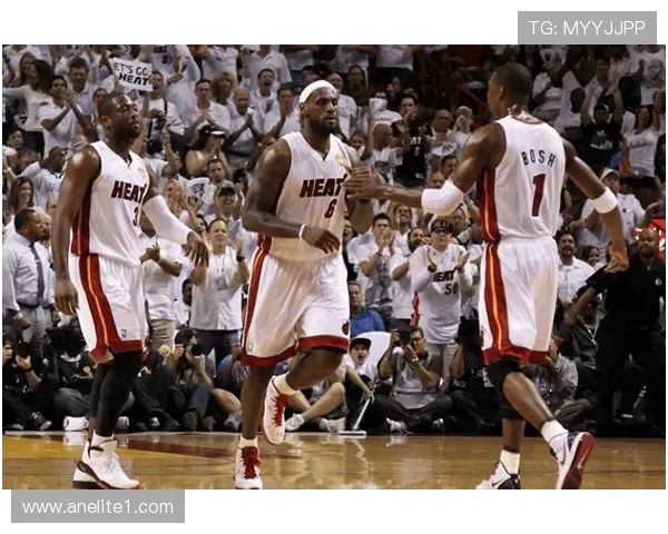 2011年NBA总决赛小牛队对热火队精彩录像回放与赛后分析