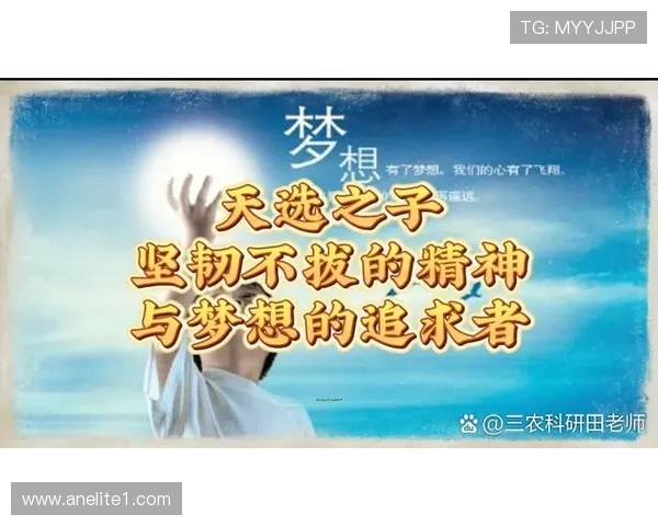 程帅澎的奋斗历程与成长故事揭示了年轻一代的梦想与追求