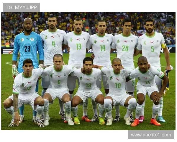 阿尔及利亚与俄罗斯的对抗赛分析及未来展望