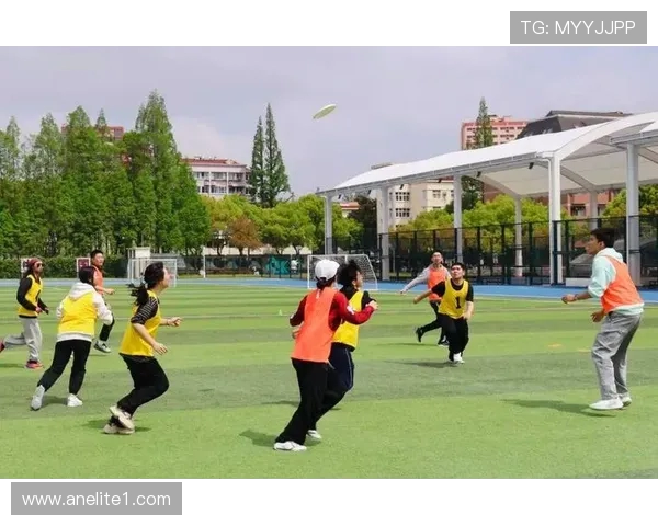 成都飞盘队在极限运动嘉年华中的灵活性表现引发热议与赞赏