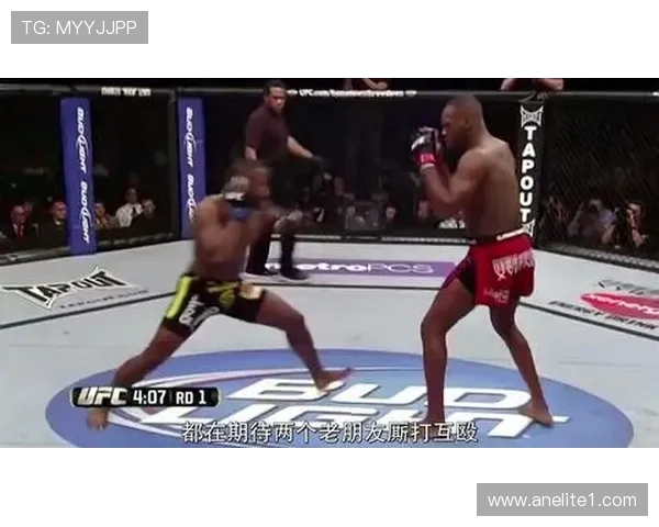 杭州极限运动队的防守体系与战术创新探索之路